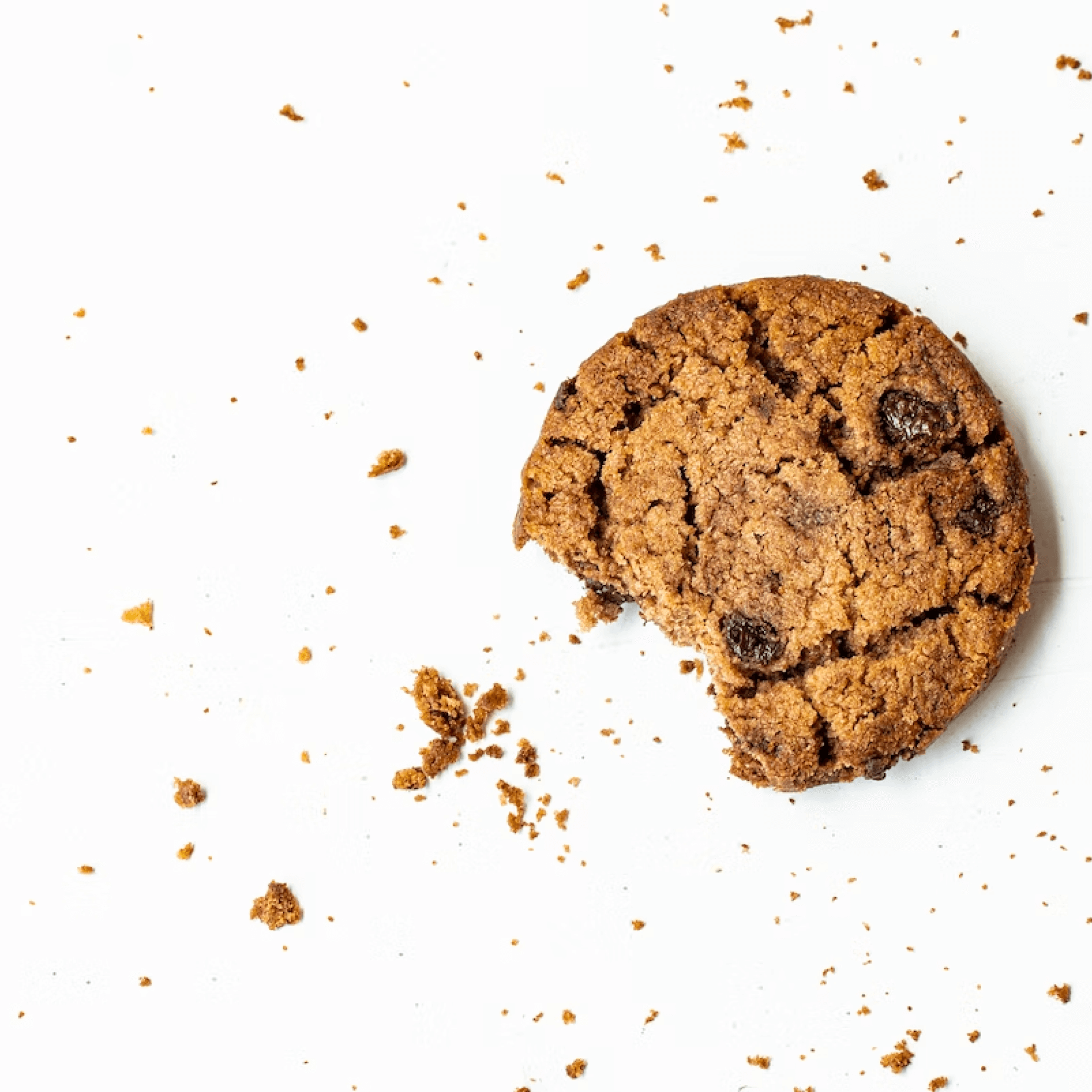 Cookie Lab